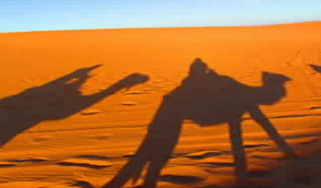 Excursão de 3 Dias de Zagora